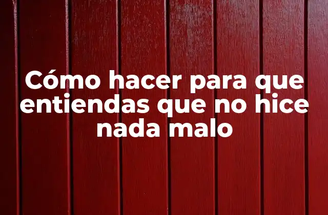 Cómo Hacer para que Entiendas que No Hice Nada Malo