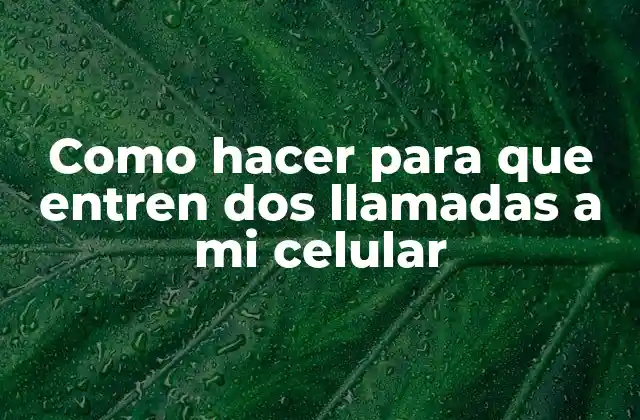 ¿Qué son llamadas concurrentes y cómo funcionan?