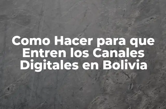 Como Hacer para que Entren los Canales Digitales en Bolivia