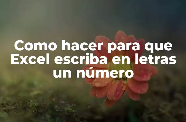 Como Hacer para que Excel Escriba en Letras un Número 2 ¿Qué es la función TEXTO y para qué sirve?