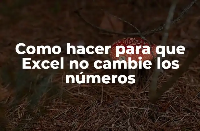 Como hacer para que Excel no cambie los números