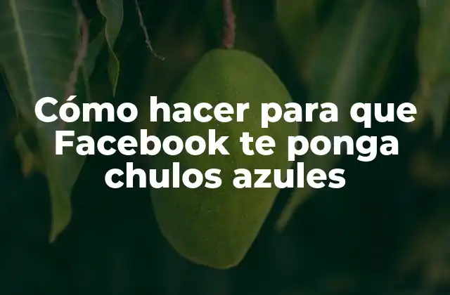 ¿Qué son los chulos azules de Facebook?