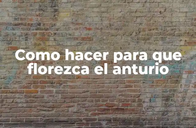 El anturio: qué es, para qué sirve y cómo se usa