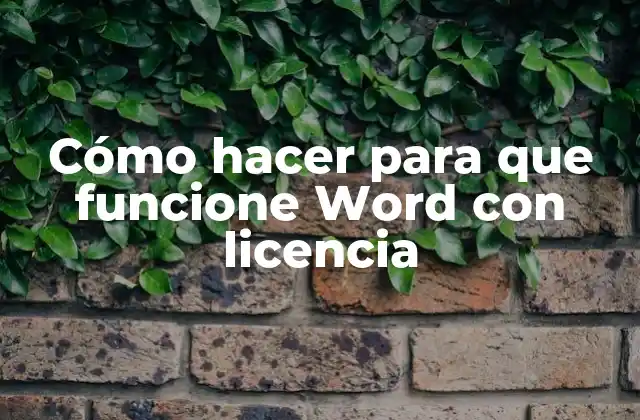 Cómo hacer para que funcione Word con licencia