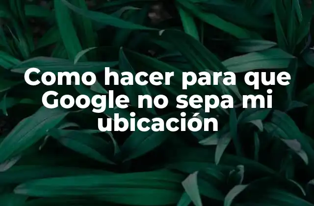 Como Hacer para que Google No Sepa Mi Ubicación