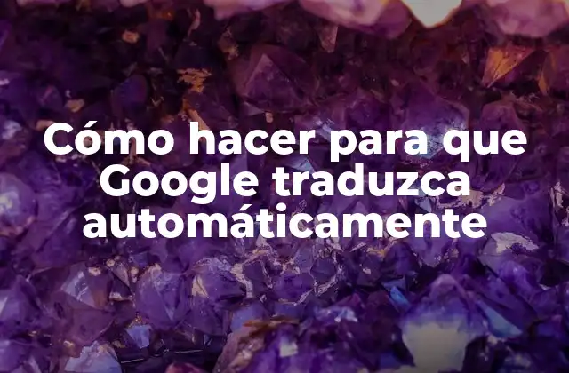Cómo Hacer para que Google Traduzca Automáticamente 2 Cómo hacer para que Google traduzca automáticamente