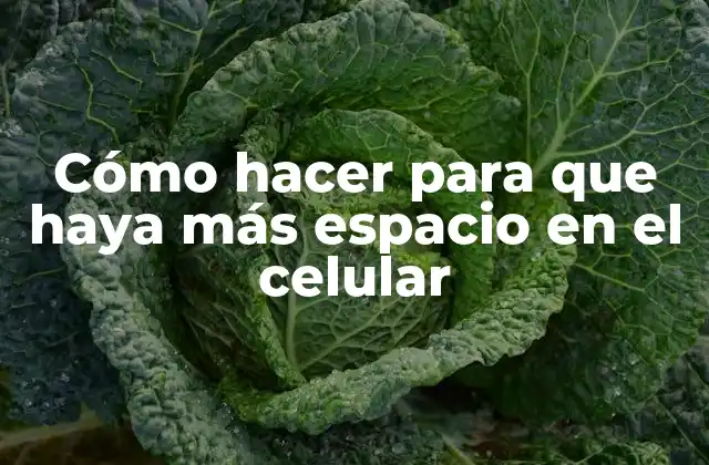 Cómo Hacer para que Haya Más Espacio en el Celular 2 ¿Qué es el espacio en el celular y por qué es importante?