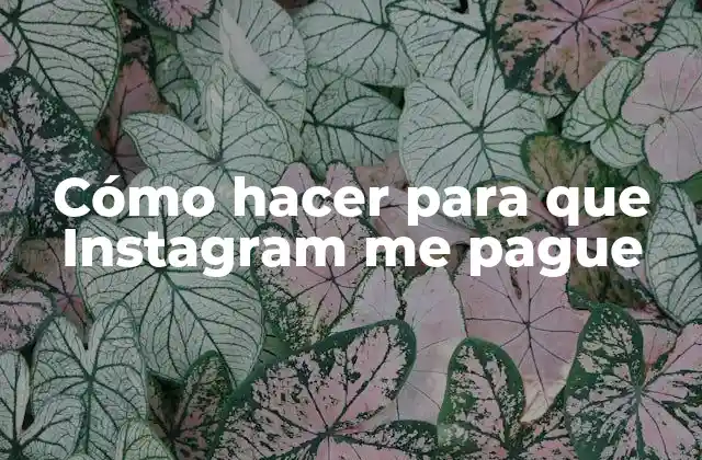 Cómo Hacer para que Instagram Me Pague