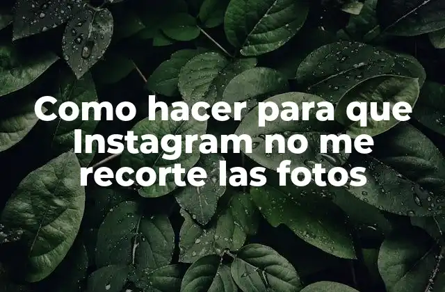 Como Hacer para que Instagram No Me Recorte las Fotos