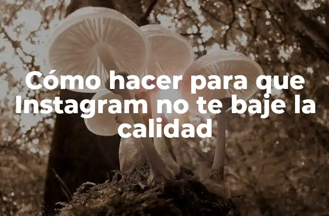 Cómo Hacer para que Instagram No Te Baje la Calidad