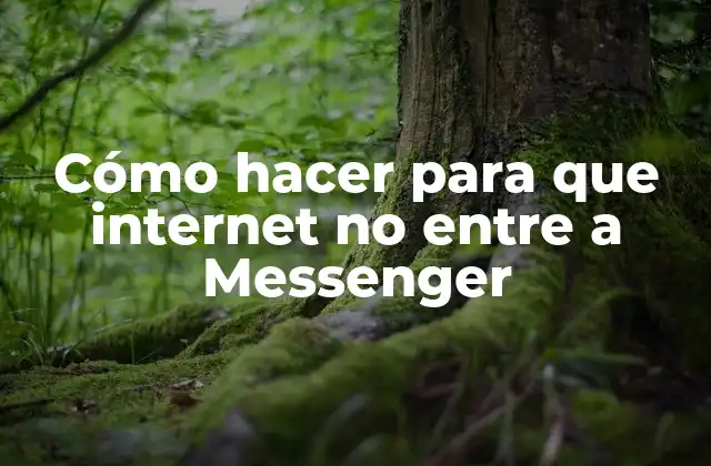 Cómo Hacer para que Internet No entre a Messenger 2 ¿Qué es Messenger y cómo funciona?