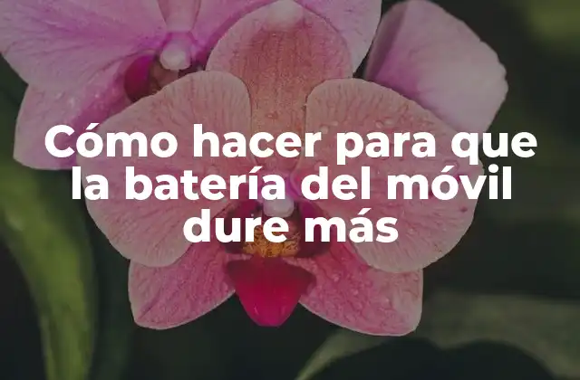 Cómo Hacer para que la Batería Del Móvil Dure Más