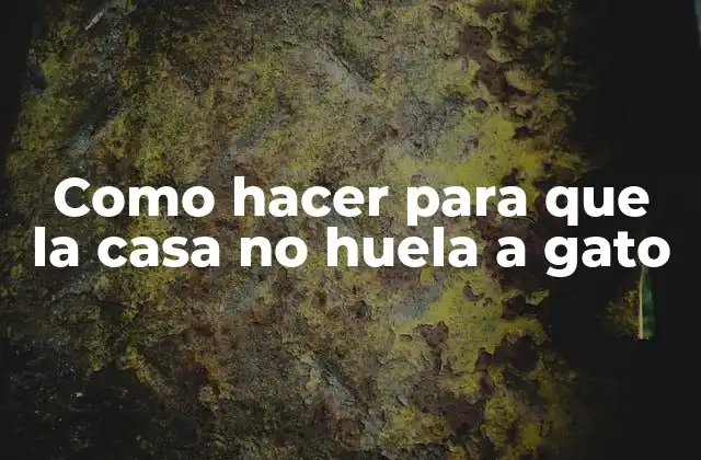Como Hacer para que la Casa No Huela a Gato