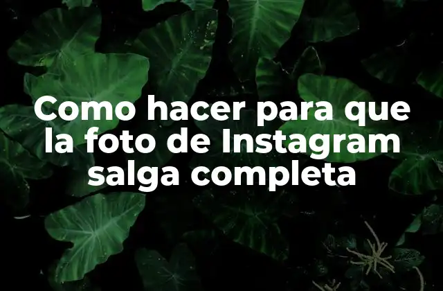 Como Hacer para que la Foto de Instagram Salga Completa