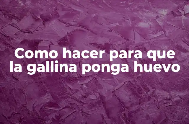 Como Hacer para que la Gallina Ponga Huevo