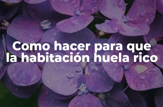 Como Hacer para que la Habitación Huela Rico