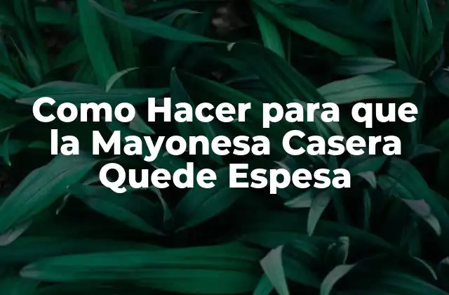 Como Hacer para que la Mayonesa Casera Quede Espesa