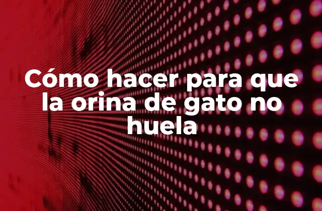 Cómo Hacer para que la Orina de Gato No Huela
