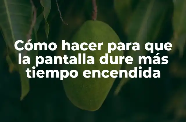 Cómo Hacer para que la Pantalla Dure Más Tiempo Encendida