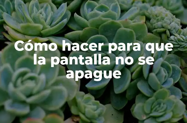 Cómo Hacer para que la Pantalla No Se Apague