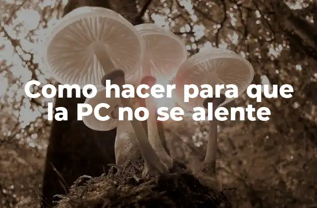 Como Hacer para que la Pc No Se Alente