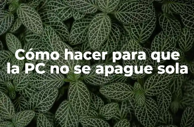 Cómo Hacer para que la Pc No Se Apague Sola