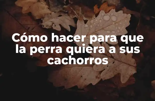 Cómo Hacer para que la Perra Quiera a Sus Cachorros 2 ¿Qué es la lactancia canina y cómo funciona?