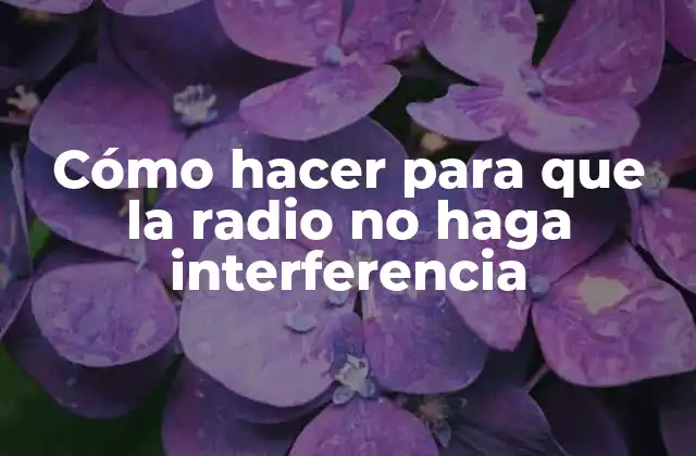 Cómo Hacer para que la Radio No Haga Interferencia
