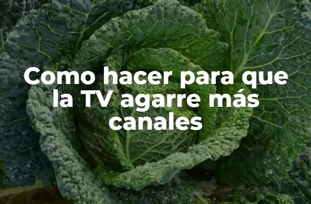 Como Hacer para que la Tv Agarre Más Canales