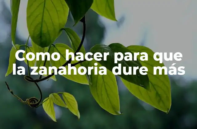 Como Hacer para que la Zanahoria Dure Más