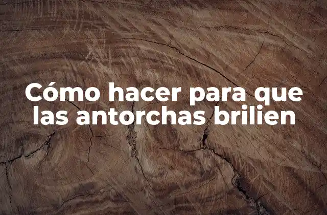 Cómo Hacer para que las Antorchas Brilien