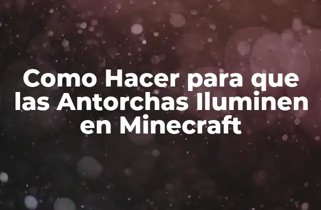 Como Hacer para que las Antorchas Iluminen en Minecraft