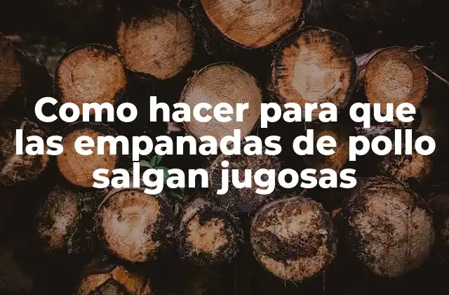 Como Hacer para que las Empanadas de Pollo Salgan Jugosas