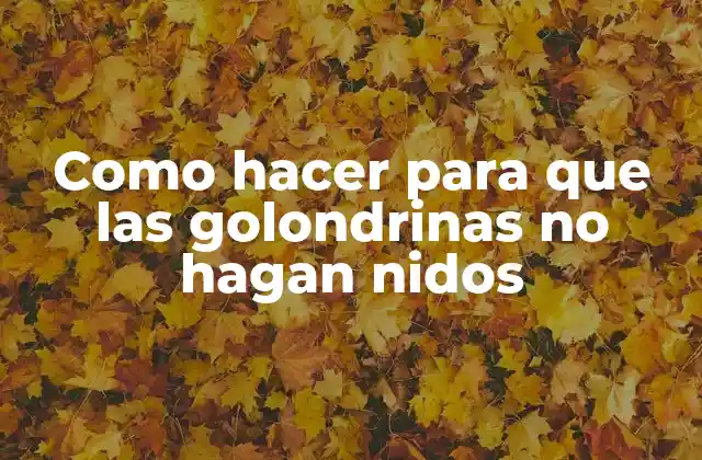 Como Hacer para que las Golondrinas No Hagan Nidos 2 ¿Qué son las golondrinas y por qué construyen nidos en nuestras paredes y techos?