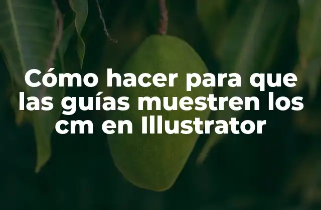 Cómo Hacer para que las Guías Muestren los Cm en Illustrator 2 Mostrar cm en Illustrator