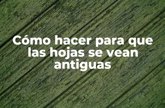 Cómo Hacer para que las Hojas Se Vean Antiguas