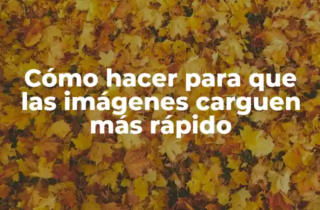 Cómo Hacer para que las Imágenes Carguen Más Rápido