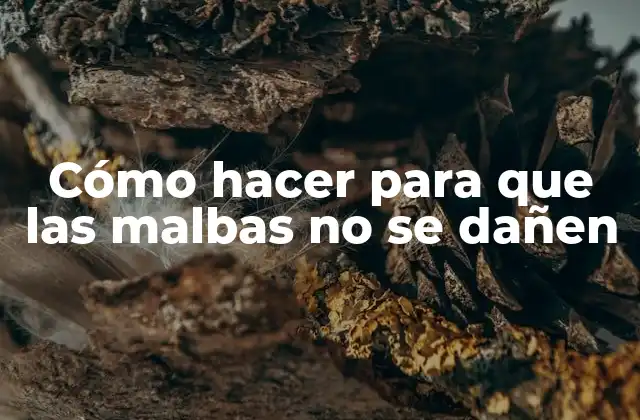 Cómo Hacer para que las Malbas No Se Dañen