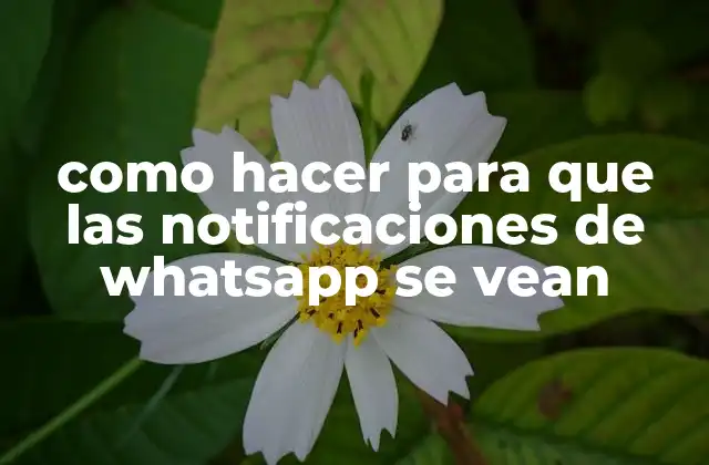 Como Hacer para que las Notificaciones de Whatsapp Se Vean