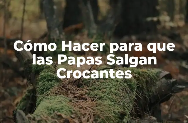 Cómo Hacer para que las Papas Salgan Crocantes