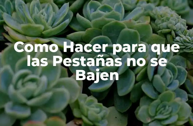 Como Hacer para que las Pestañas No Se Bajen