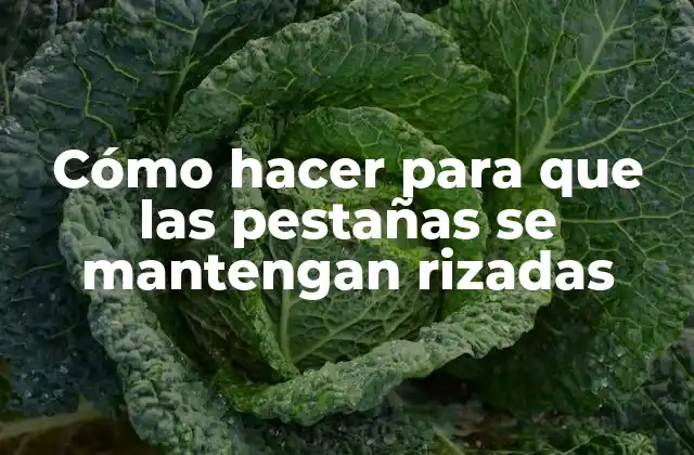 Cómo Hacer para que las Pestañas Se Mantengan Rizadas 2 Rizadora de pestañas