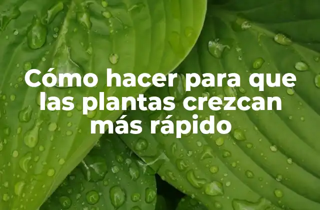 Cómo hacer para que las plantas crezcan más rápido
