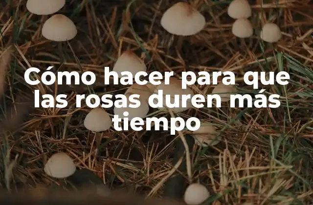 Cómo Hacer para que las Rosas Duren Más Tiempo
