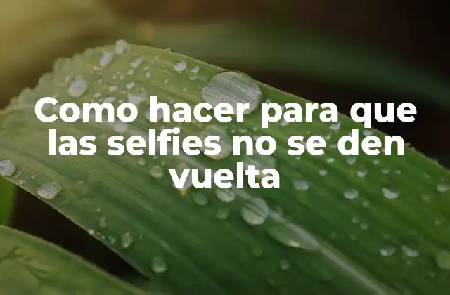 Como Hacer para que las Selfies No Se Den Vuelta 2 ¿Qué son las selfies vueltas y cómo se producen?