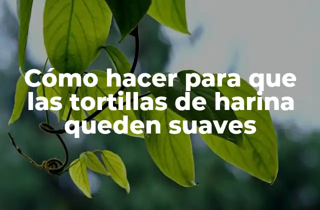Cómo Hacer para que las Tortillas de Harina Queden Suaves