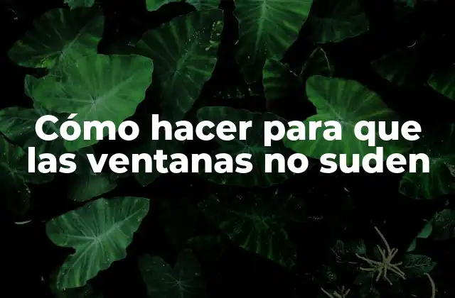 Cómo Hacer para que las Ventanas No Suden