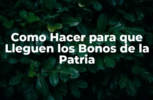 Como Hacer para que Lleguen los Bonos de la Patria