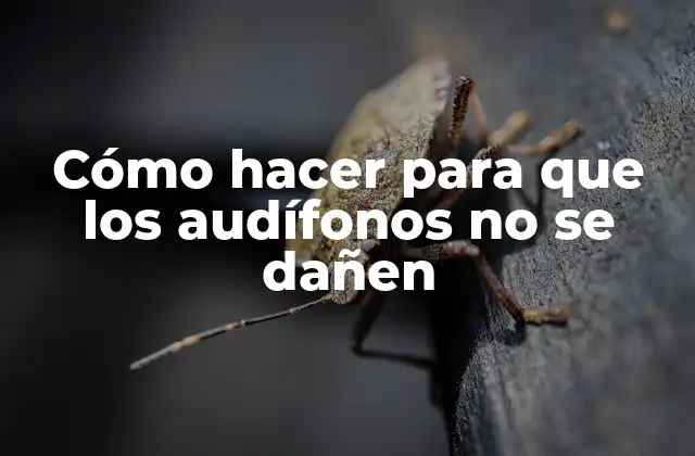 Cómo Hacer para que los Audífonos No Se Dañen 2 ¿Qué son los audífonos y para qué sirven?