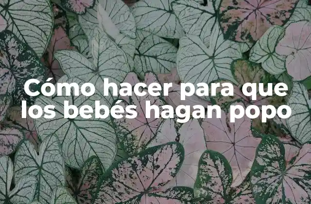 Cómo Hacer para que los Bebés Hagan Popo
